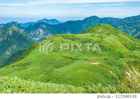 夏の雨飾山登山:山頂から笹平の眺め 夏の雨飾山登山:山頂から笹平の眺め 117266539