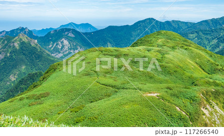 夏の雨飾山登山：山頂から笹平の眺め 117266540