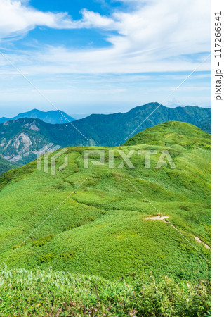 夏の雨飾山登山：山頂から笹平の眺め 117266541