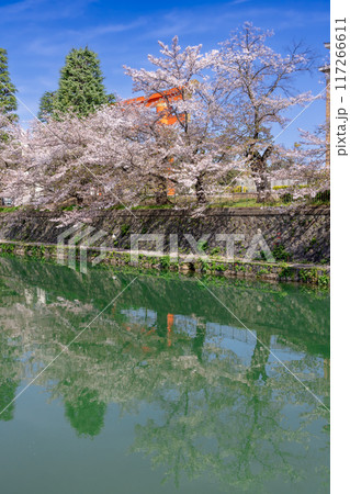 桜満開の岡崎疏水 117266611