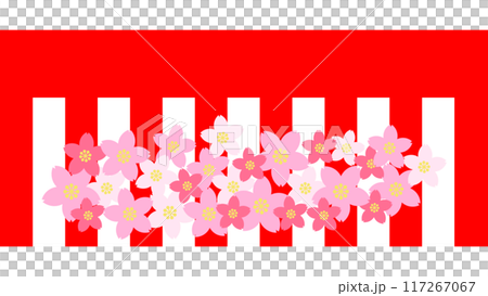 紅白窗簾和櫻花插畫 紅白窗簾和櫻花插畫 117267067