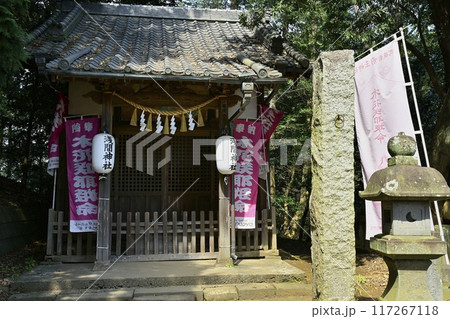 さきたま古墳公園内前玉神社境内の浅間神社 さきたま古墳公園内前玉神社境内の浅間神社 117267118