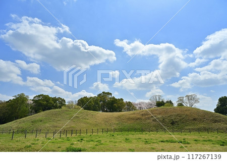 さきたま古墳公園内の鉄砲山古墳 117267139