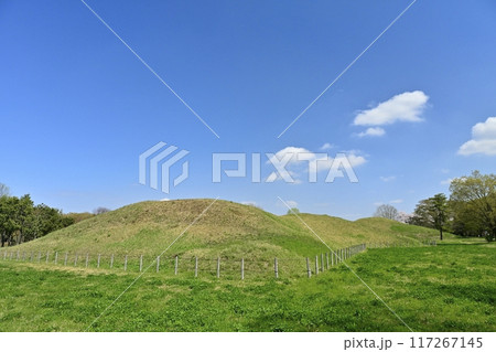 さきたま古墳公園内の奥の山古墳 117267145