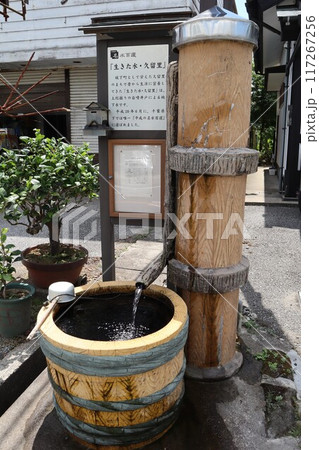藤平酒造の井戸（千葉県君津市久留里市場） 117267256