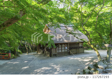 青もみじの下の水谷茶屋(奈良公園内) 青もみじの下の水谷茶屋(奈良公園内) 117267293