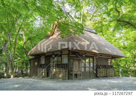 青もみじの下の水谷茶屋（奈良公園内） 117267297