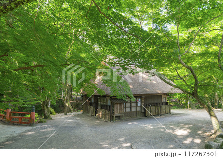 青もみじの下の水谷茶屋（奈良公園内） 117267301