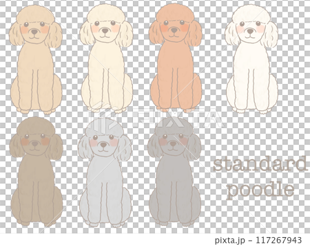 標準貴賓犬坐著微笑的插圖集 117267943