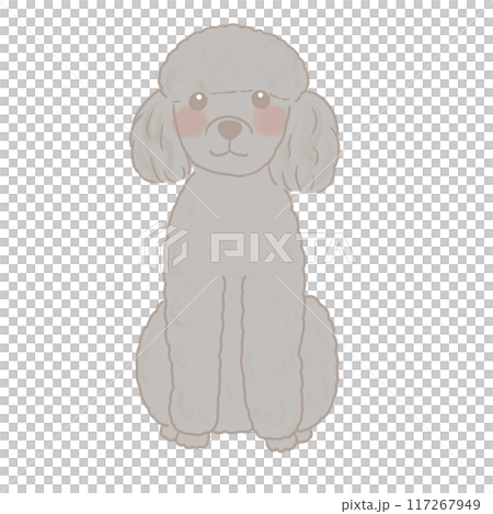 お座りして微笑むスタンダードプードルのイラスト お座りして微笑むスタンダードプードルのイラスト 117267949