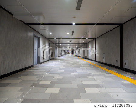 東京都市風景 都心の地下連絡通路 東京都市風景 都心の地下連絡通路 117268086