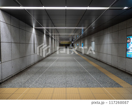 東京都市風景 誰もいない都心の地下連絡通路 東京都市風景 誰もいない都心の地下連絡通路 117268087