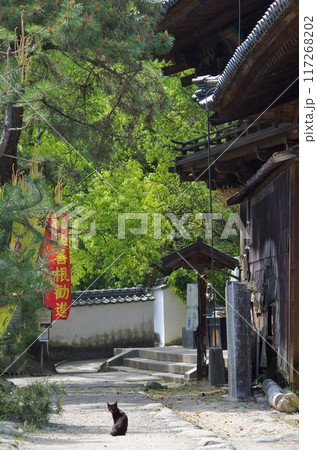 松山　石手寺裏参道での光景 117268202