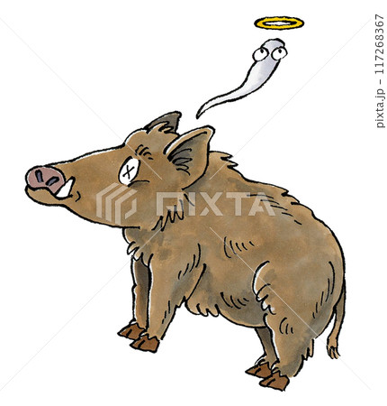 死んだイノシシのイラスト素材 [117268367] - PIXTA