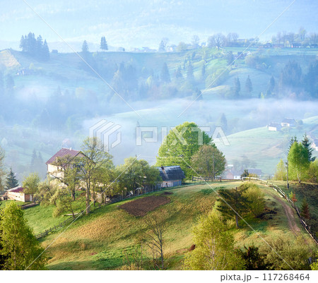 Serene countryside morning with mist rolling over gentle hills. Sunlight filters through, highlighting cozy farmhouse surrounded by lush trees. Scattered homes and winding paths, mist-covered valleys. Serene countryside morning with mist rolling over gentle hills. Sunlight filters through, highlighting cozy farmhouse surrounded by lush trees. Scattered homes and winding paths, mist-covered valleys. 117268464