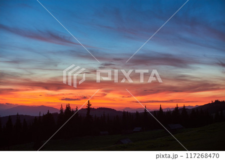 Vibrant sunset fills sky with brilliant shades of orange, pink, and purple, casting warm glow over landscape. Tall pine trees stand in silhouette against colorful horizon, with rolling hills. Vibrant sunset fills sky with brilliant shades of orange, pink, and purple, casting warm glow over landscape. Tall pine trees stand in silhouette against colorful horizon, with rolling hills. 117268470