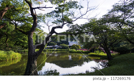 神奈川県横浜市金沢区称名寺・稱名寺の夏 117269176