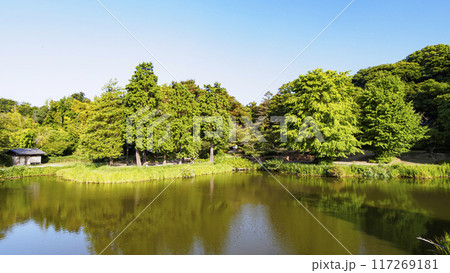 神奈川県横浜市金沢区称名寺・稱名寺の夏 117269181