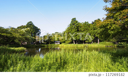 神奈川県横浜市金沢区称名寺・稱名寺の夏 117269182