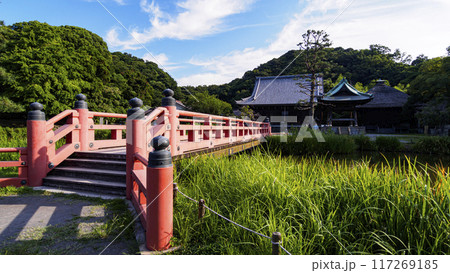 神奈川県横浜市金沢区称名寺・稱名寺の夏 117269185