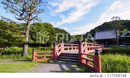 神奈川県横浜市金沢区称名寺・稱名寺の夏 117269186