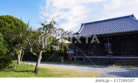 神奈川県横浜市金沢区称名寺・稱名寺の夏 117269187