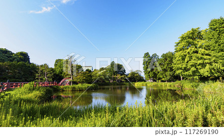 神奈川県横浜市金沢区称名寺・稱名寺の夏 117269190