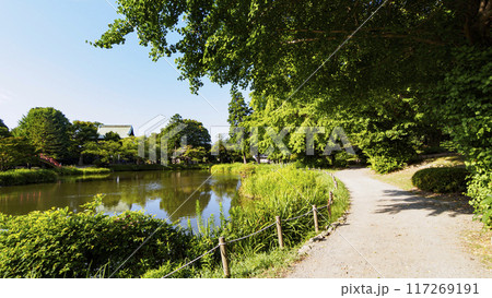 神奈川県横浜市金沢区称名寺・稱名寺の夏 117269191
