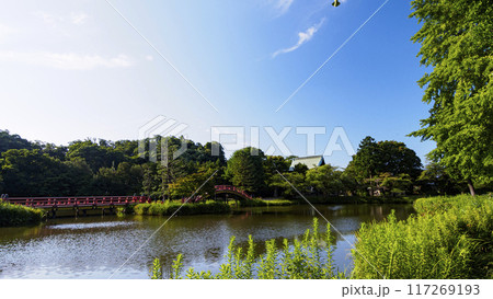 神奈川県横浜市金沢区称名寺・稱名寺の夏 117269193