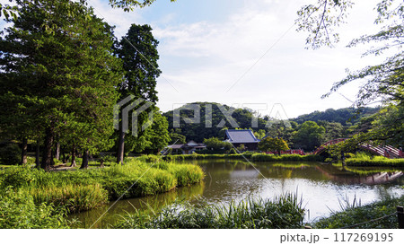 神奈川県横浜市金沢区称名寺・稱名寺の夏 神奈川県横浜市金沢区称名寺・稱名寺の夏 117269195