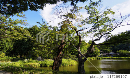 神奈川県横浜市金沢区称名寺・稱名寺の夏 117269197