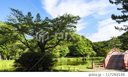 神奈川県横浜市金沢区称名寺・稱名寺の夏 117269198