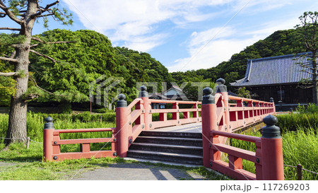 神奈川県横浜市金沢区称名寺・稱名寺の夏 117269203