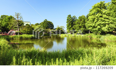 神奈川県横浜市金沢区称名寺・稱名寺の夏 117269209