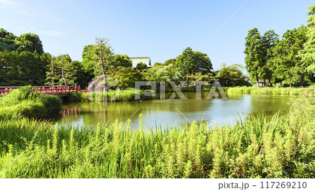 神奈川県横浜市金沢区称名寺・稱名寺の夏 117269210