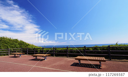 三浦半島の三浦市城ヶ島の夏 117269387