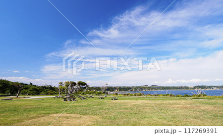 三浦半島の三浦市城ヶ島の夏 117269391