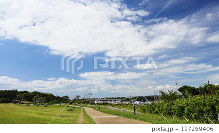 三浦半島の三浦市城ヶ島の夏 117269406