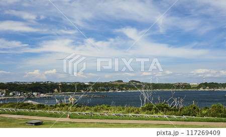 三浦半島の三浦市城ヶ島の夏 三浦半島の三浦市城ヶ島の夏 117269409