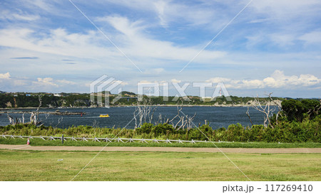 三浦半島の三浦市城ヶ島の夏 117269410