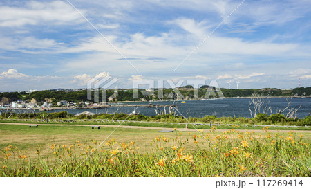三浦半島の三浦市城ヶ島の夏 三浦半島の三浦市城ヶ島の夏 117269414