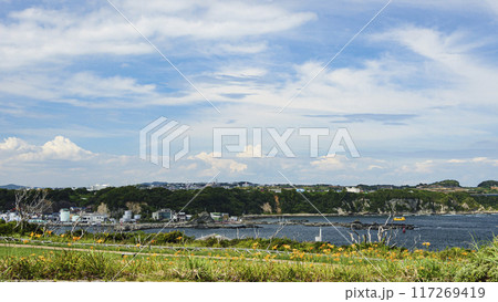 三浦半島の三浦市城ヶ島の夏 117269419