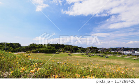 三浦半島の三浦市城ヶ島の夏 三浦半島の三浦市城ヶ島の夏 117269426