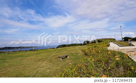 三浦半島の三浦市城ヶ島の夏 117269435