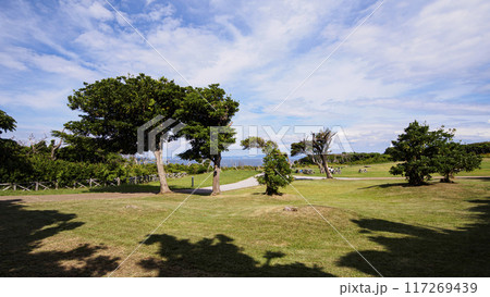 三浦半島の三浦市城ヶ島の夏 117269439