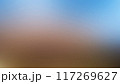 abstract blur background in motion 117269627