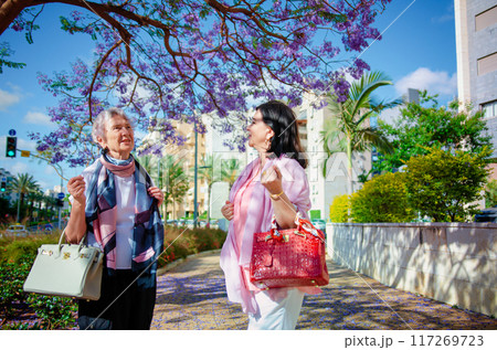 Engaged in Fashion Trends Talk, Two Ladies Reluctant to Part After a Delightful Walk Under Blooming Jacaranda. 117269723
