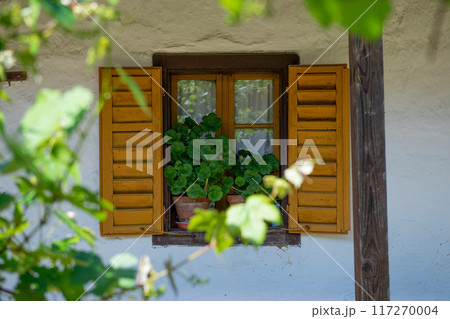 Old window with wooden frames, shutters and flowers. 117270004