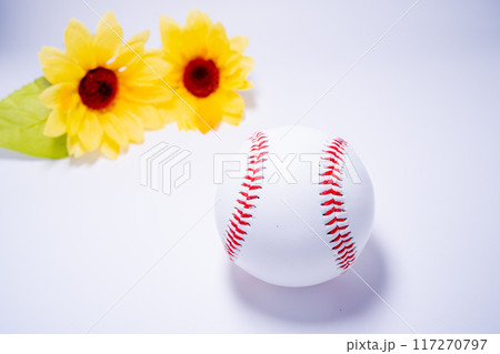 夏の硬式野球ボールのイメージ 夏の硬式野球ボールのイメージ 117270797