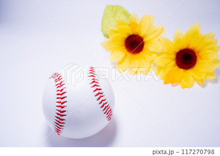 夏の硬式野球ボールのイメージ 117270798